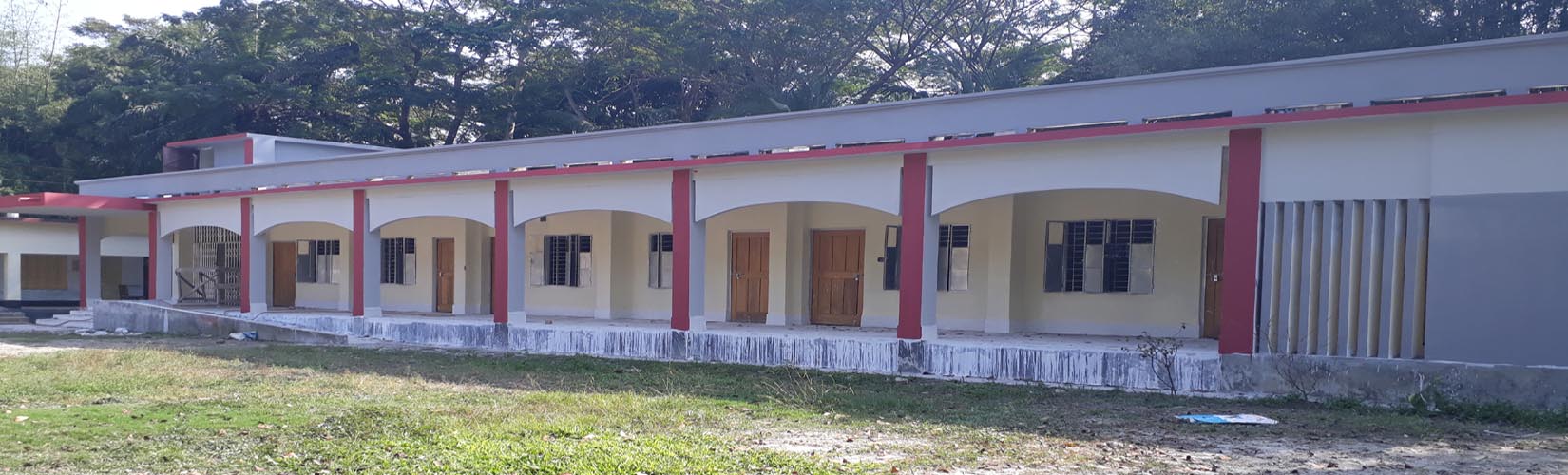 Slide Image